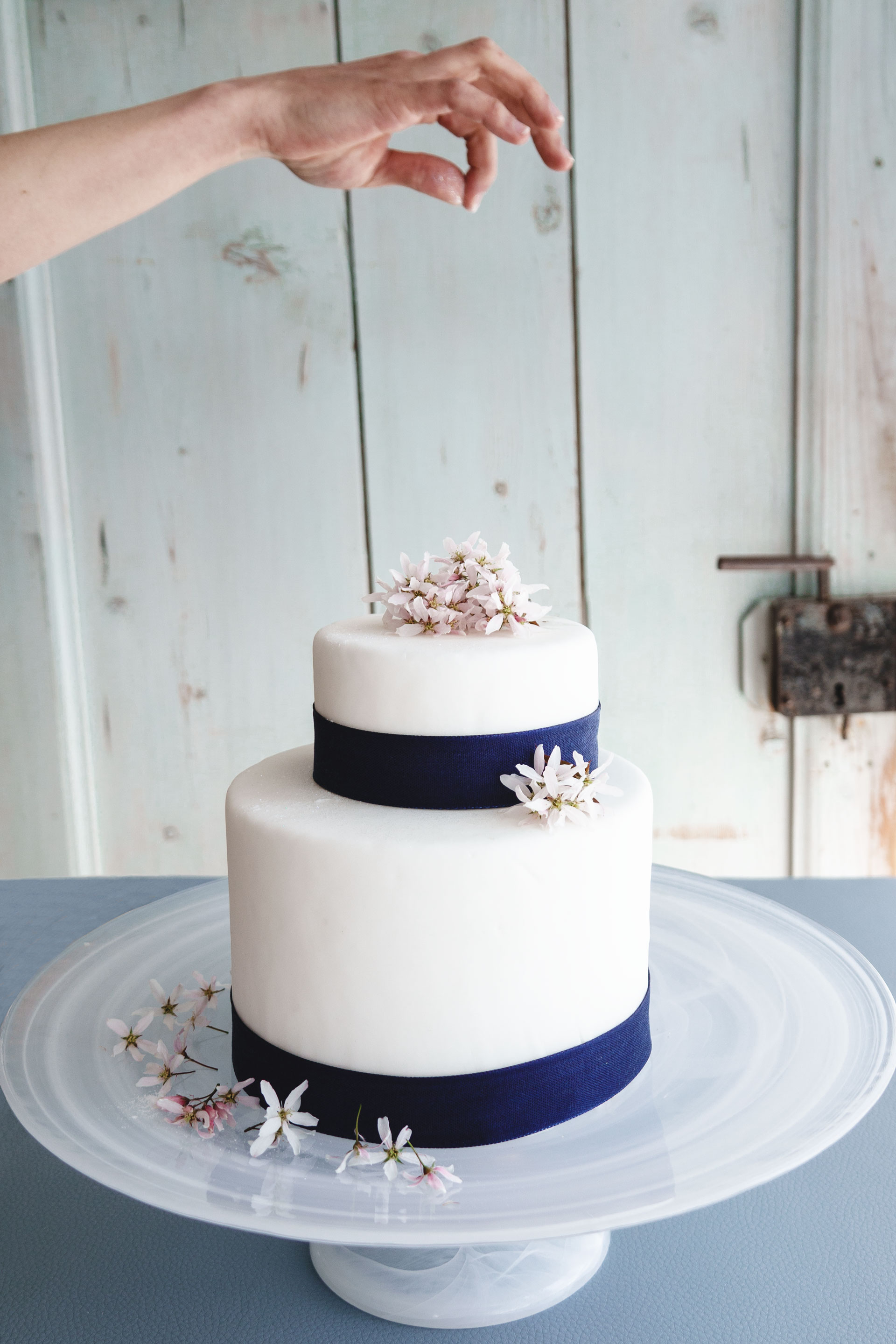 Sophie Jenzer – Cakebreaksophie